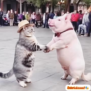 Trending funny🤣😝 video😝