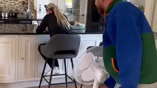 Here's A Quick Way To Solve A Problem with FUNNY FAMILY ADVENTURES