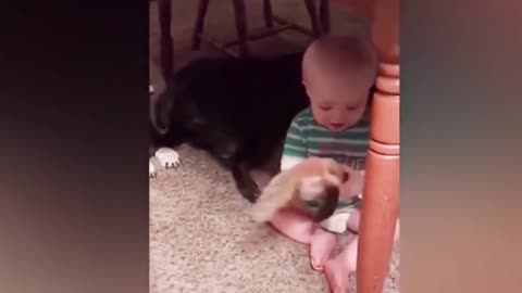 Dogs are the best friend of Babies 29