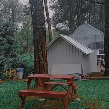 Cafe in the middle of pine trees