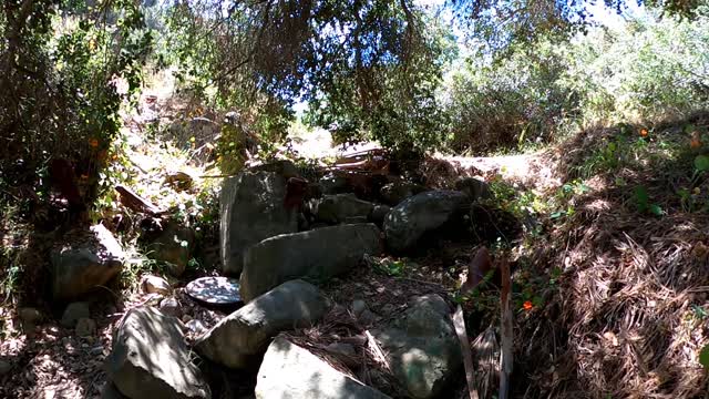 Exploring Presidio Park