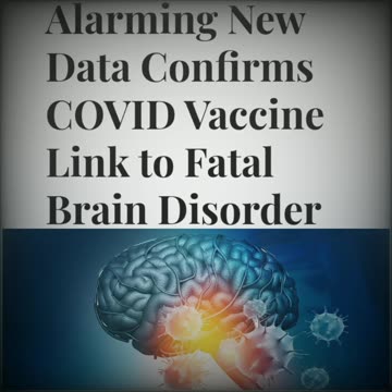 🧐 Plandemic | SPARS 2025 - 2028 👇🏻