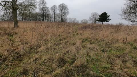 Let's go. Walking towards a woodland. At an ironage fort