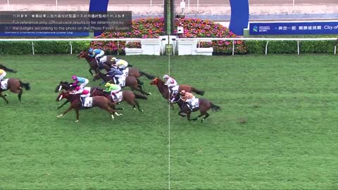 Horse_Race_2022052207_Chinese