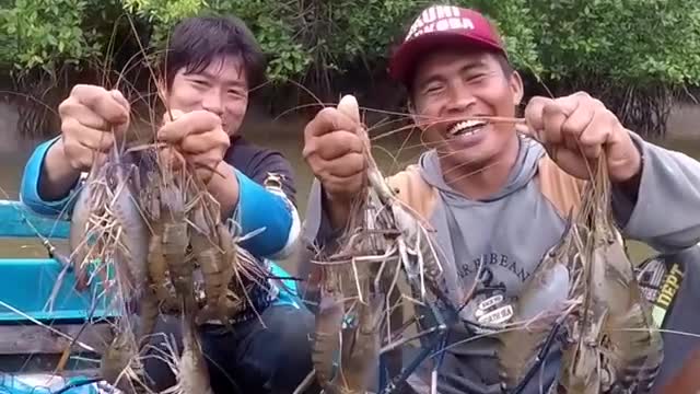 fishing prawns