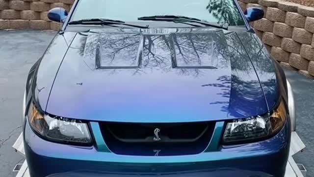 Ford Cobra