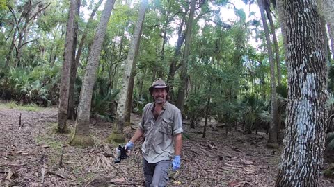 Canoeing the Dead River to a an Ancient Florida Indian Mound Complex