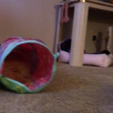 Carson H. Tunnel Chilling With Mom