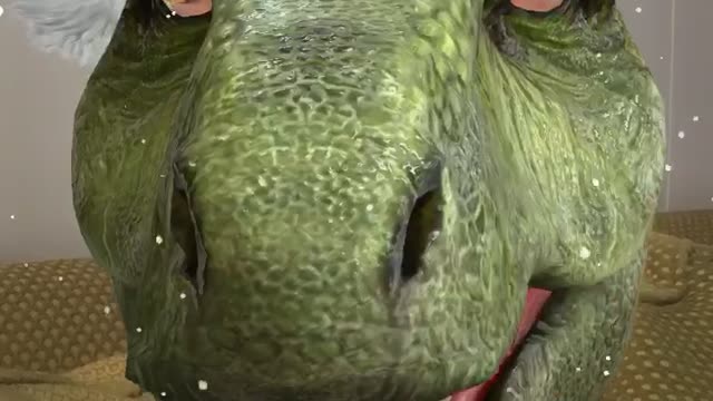 My name is Dr. Fauci