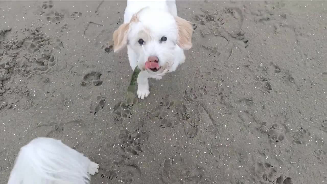 vrijdagmiddag op de Zandmotor