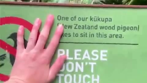 They told you "DON'T TOUCH!"
