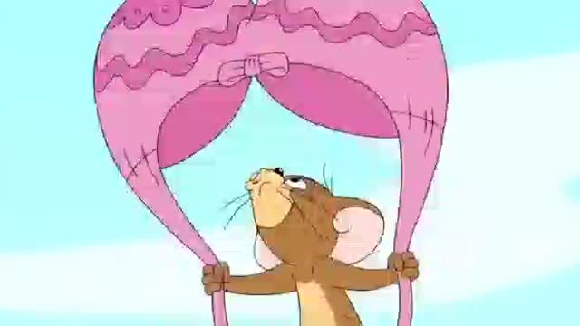 Compilation caton tomi video
