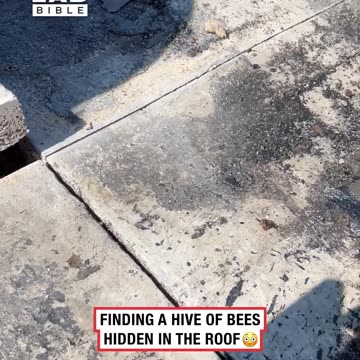 I was not expecting that to be under there 😅