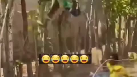 Prank