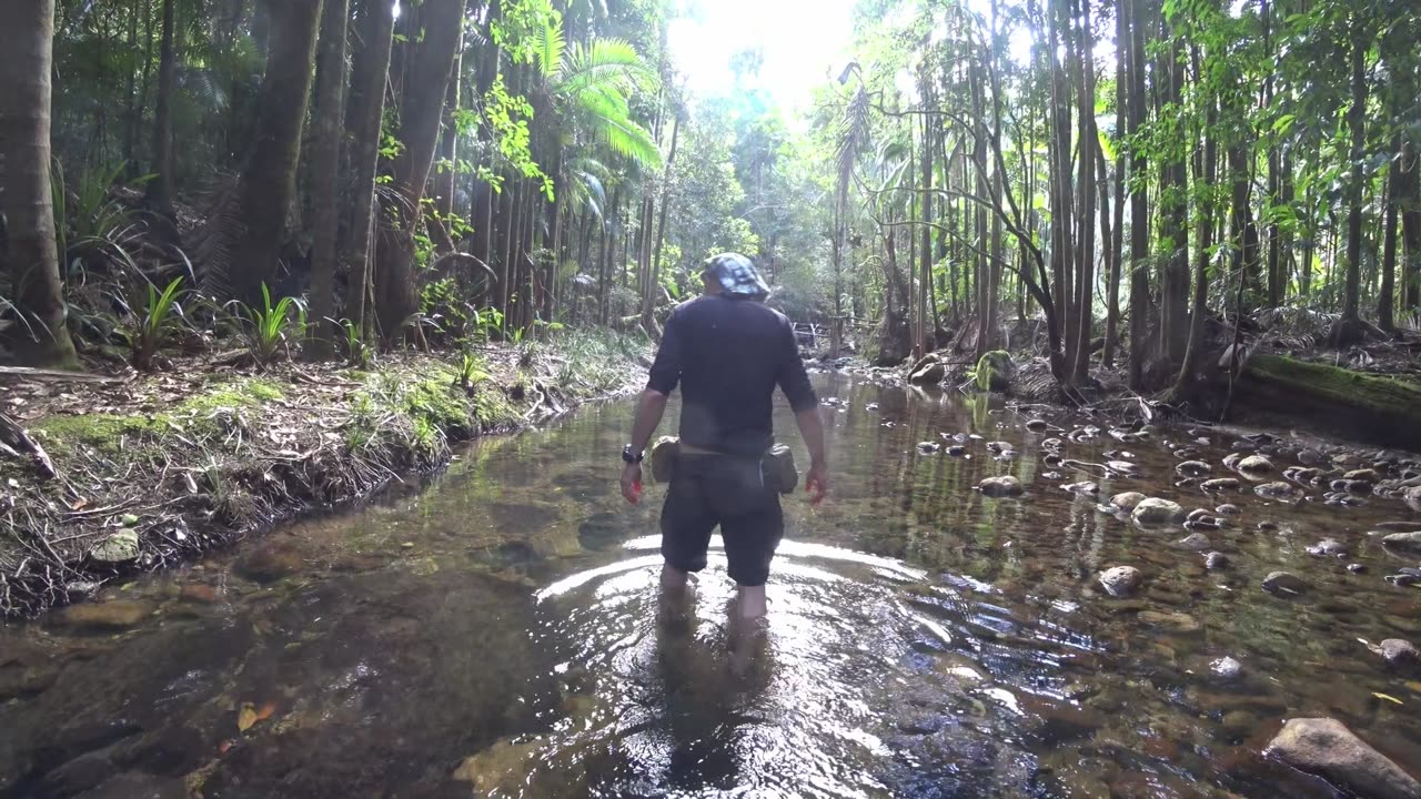 Rock Hounding in the Jungle for Precious Stones