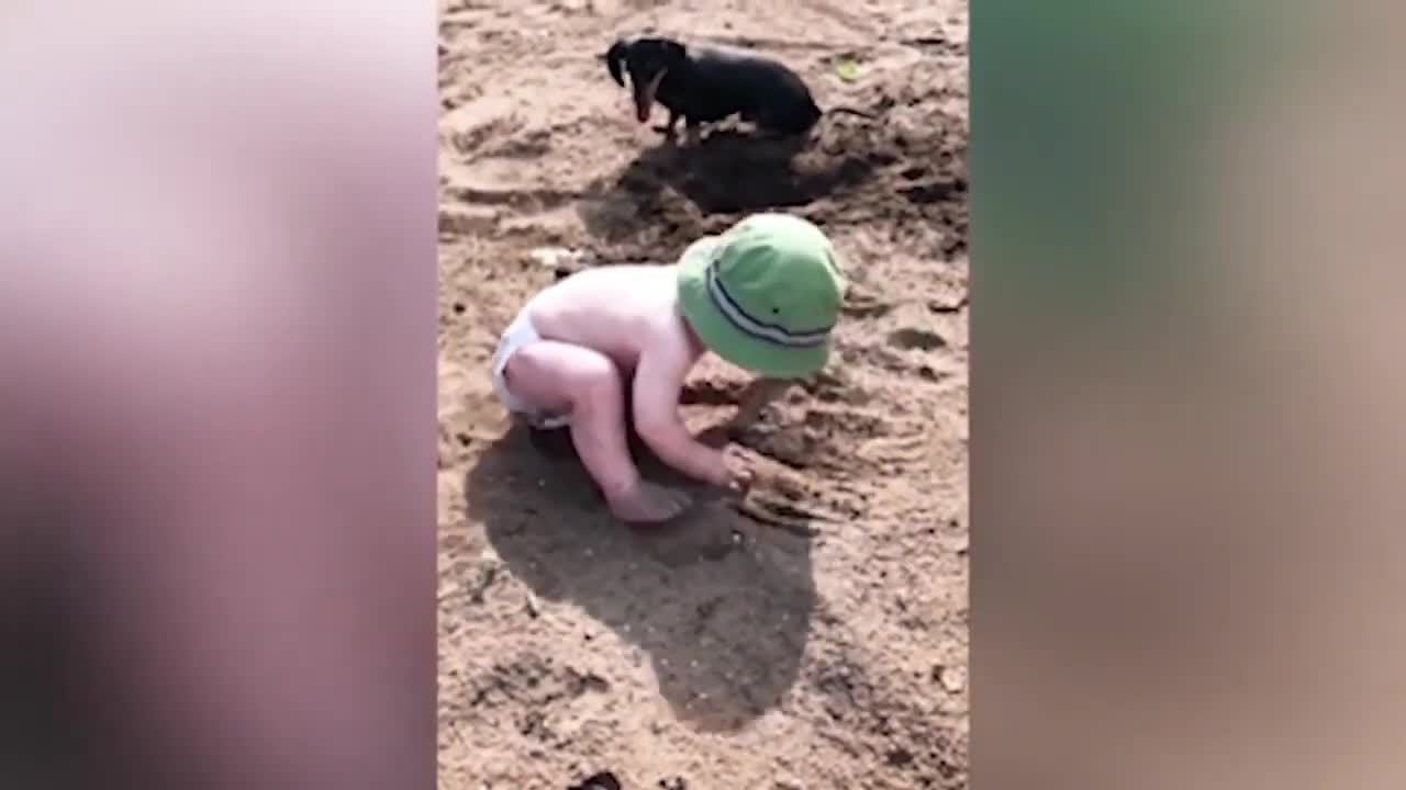 Children playing. I doubt you don't laugh.