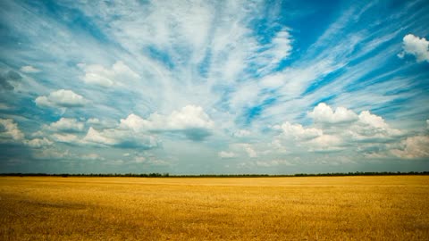 A Visualized Presentation of the Ecclesiastes on Profitable Labour - Ecclesiastes 11