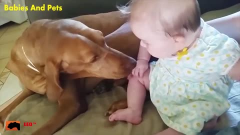 Baby and Dog Playing Funny Video