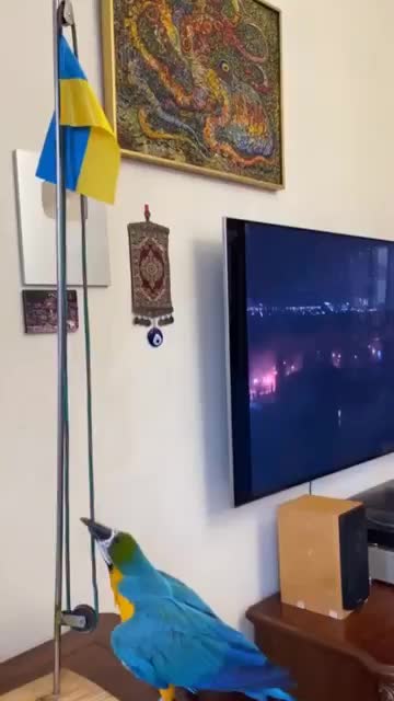 Russia Ukraine conflict latest news Russia Ukraine