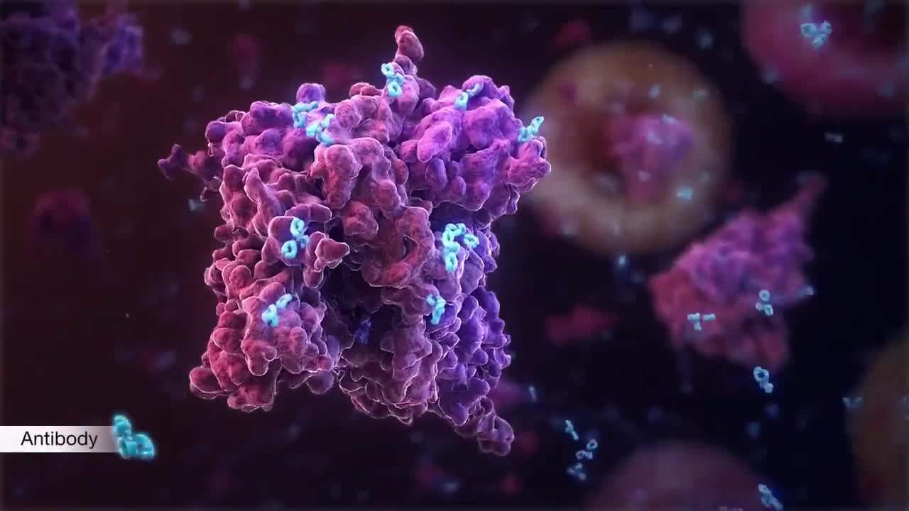 Dr Richard Urso - People are getting vaxinated and still die.