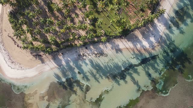 Punta Bonita, Las Terrenas República Dominicana