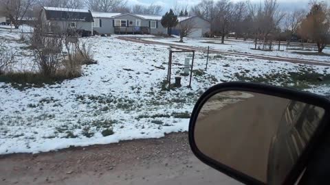 Deer Running Across The Road