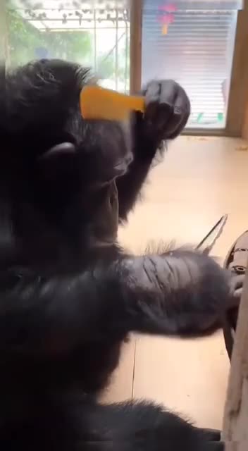 Date night Tuesday 😂