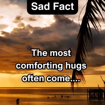 Sad facts quotes