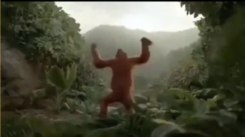 Monkey funny dance.mp4