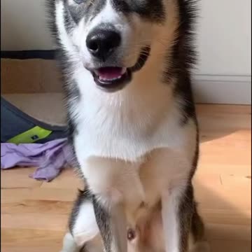 All grown up and 3 years old today 💙