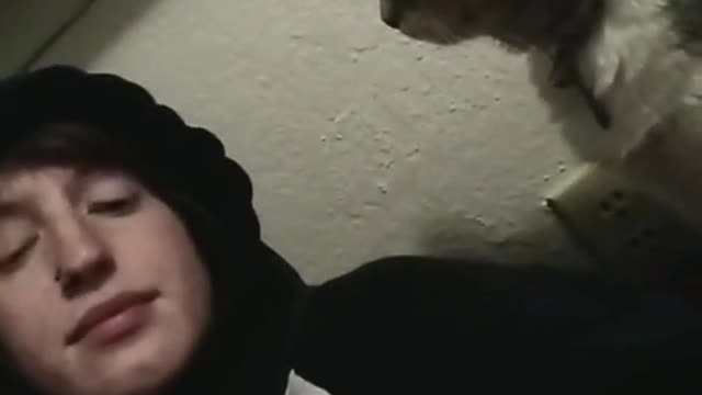 Animal TikToks to lighten ur day