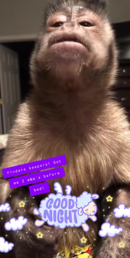 Last Night before bed I stole