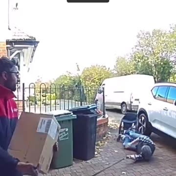 Dog gets overly excited when seeing the mailman