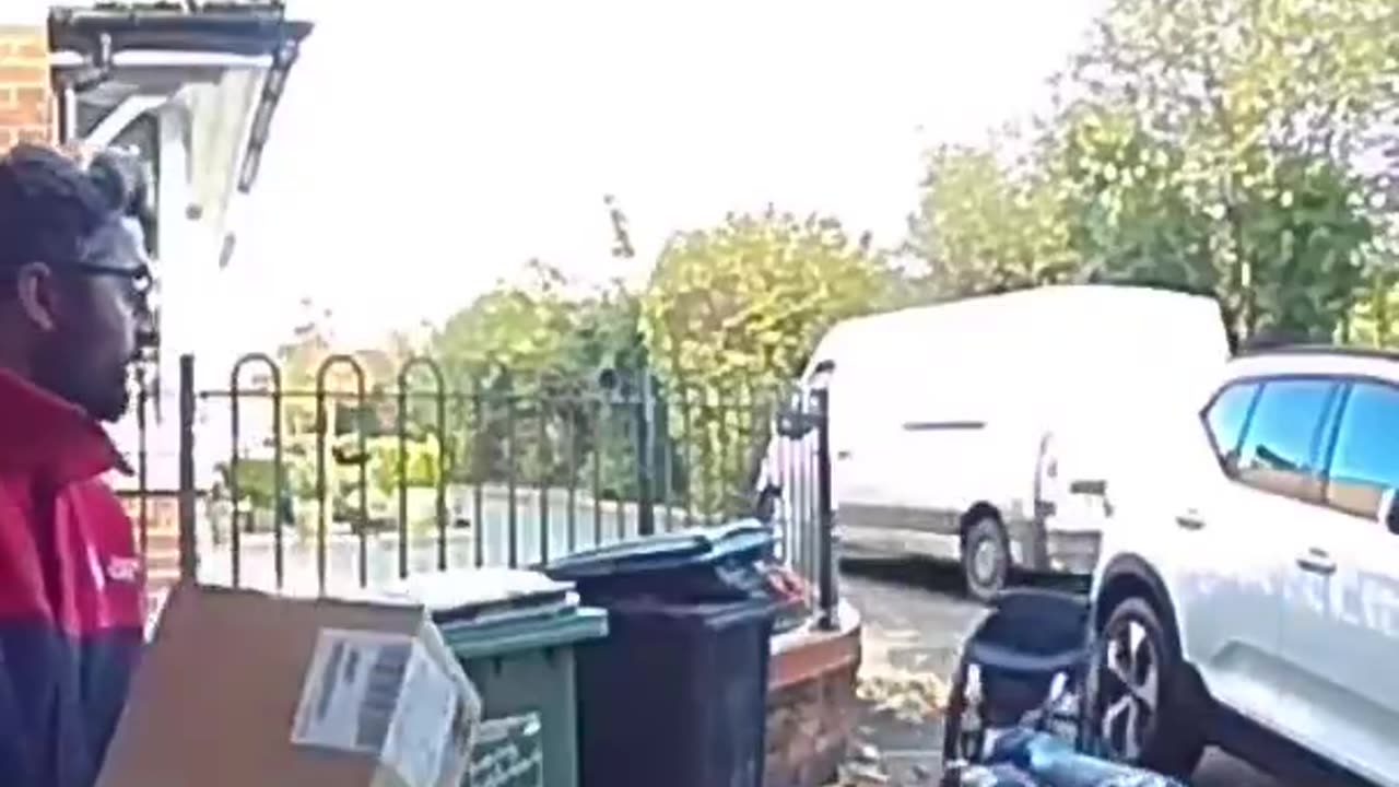 Dog gets overly excited when seeing the mailman