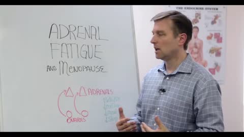 DrBerg-Adrenal Fatigue At Menopause Explained