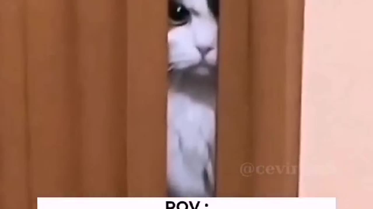 Wait for the end