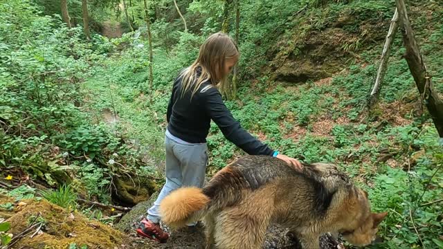 a girl and her dog in the forst