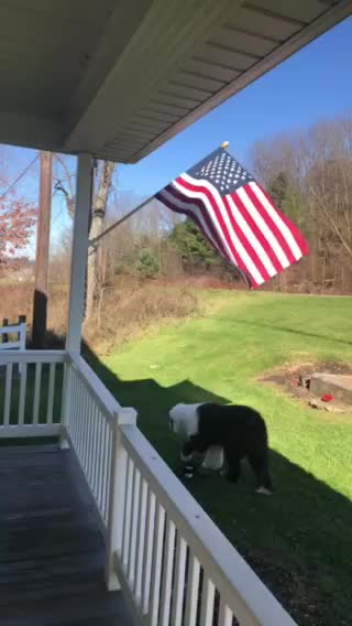 Keep America Great With Trump!