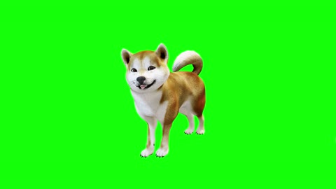 Copyright Free 3D funny Dog Character Green Screen Effect # Chroma Key # Royalty Free # Funny Dog #