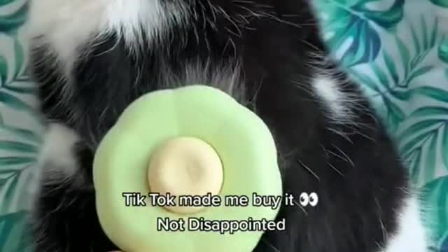 Clean up my cat's excess fur