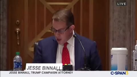 DELETED FROM YOUTUBE - The opening statement of Jesse Binnall before the hearing on election fraud