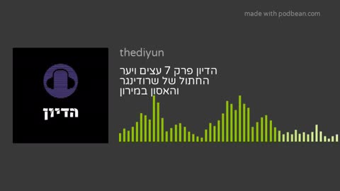 הדיון פרק 7 עצים ויער החתול של שרודינגר והאסון במירון