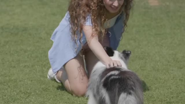 #cute dog Playing with girlfriend shorts video