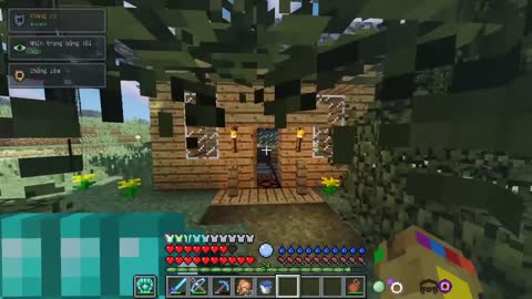 MINECRAFT