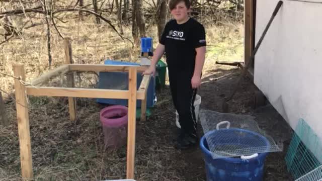 Prepping rabbit manure for a garden