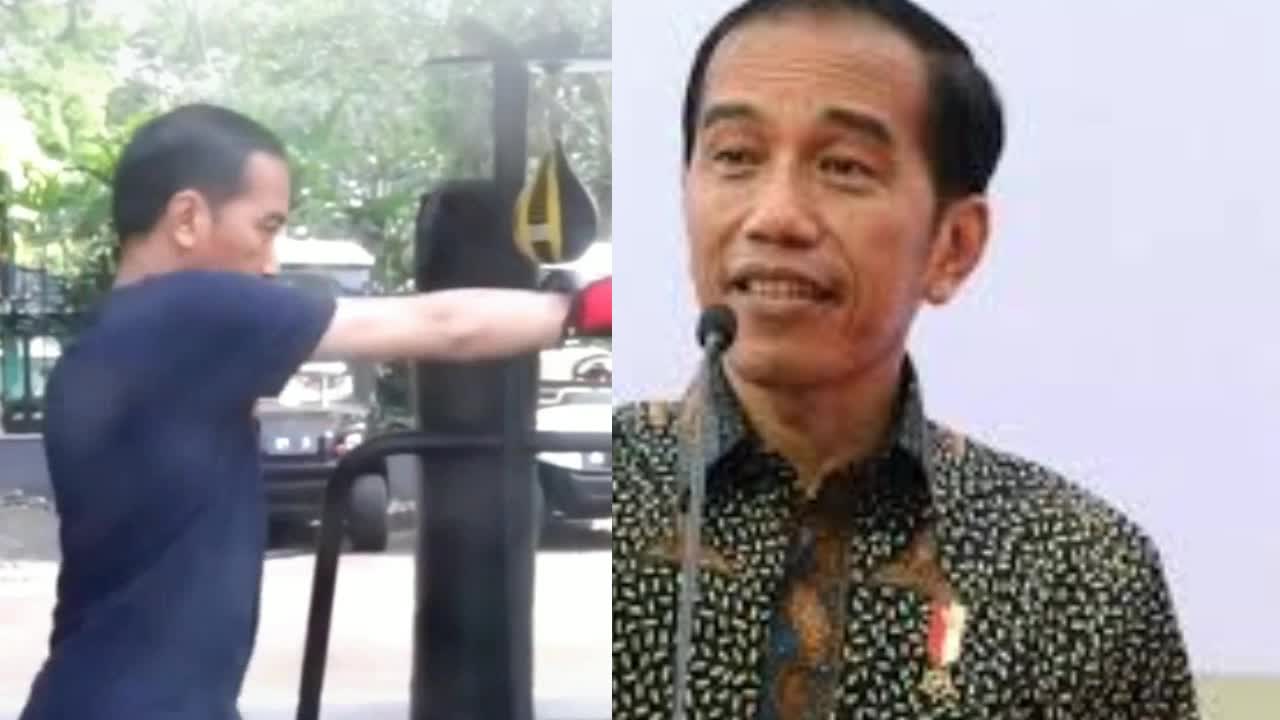 Jokowi dodo