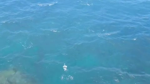 DRONE FOOTAGE with the beautiful beach view