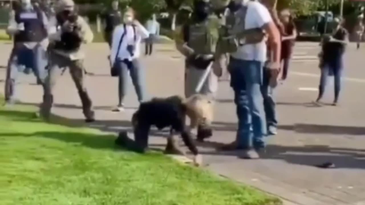 2020 Antifa Portland Flashback