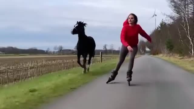 The Great Race of the Century 🗿