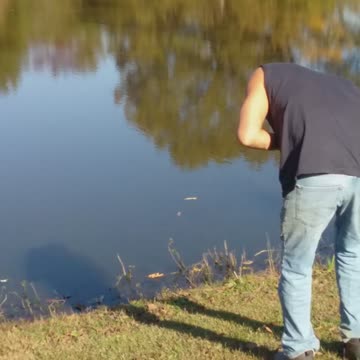 Something wrong with my ducks